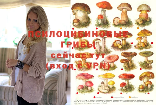 мяу мяу мука Алексеевка
