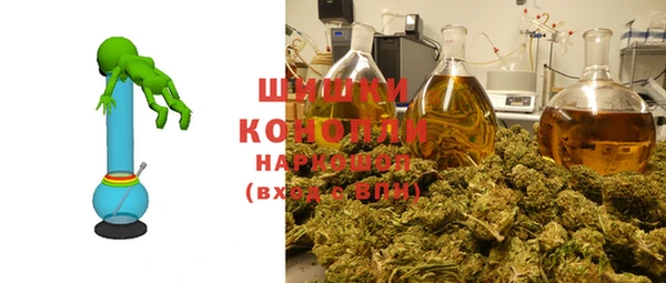 крисы Алзамай