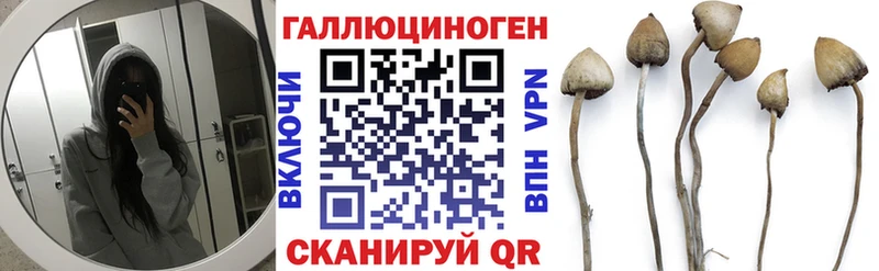 Псилоцибиновые грибы Magic Shrooms  blacksprut ONION  Дрезна 